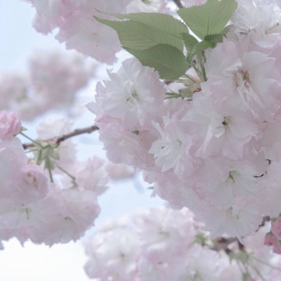 兽设比例设计基础教程Furry群